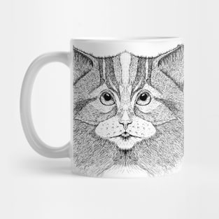 Cat 11 Mug